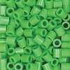 image:imagePerler Beads Fuse Beads for Crafts 1000pcs Pear GreenBright Green