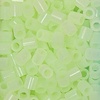 image:imagePerler Beads Fuse Beads for Crafts 1000pcs Pear GreenGreen